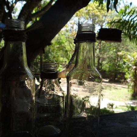 Chale Rancho Aratama Bed & Breakfast Jacarei Bagian luar foto