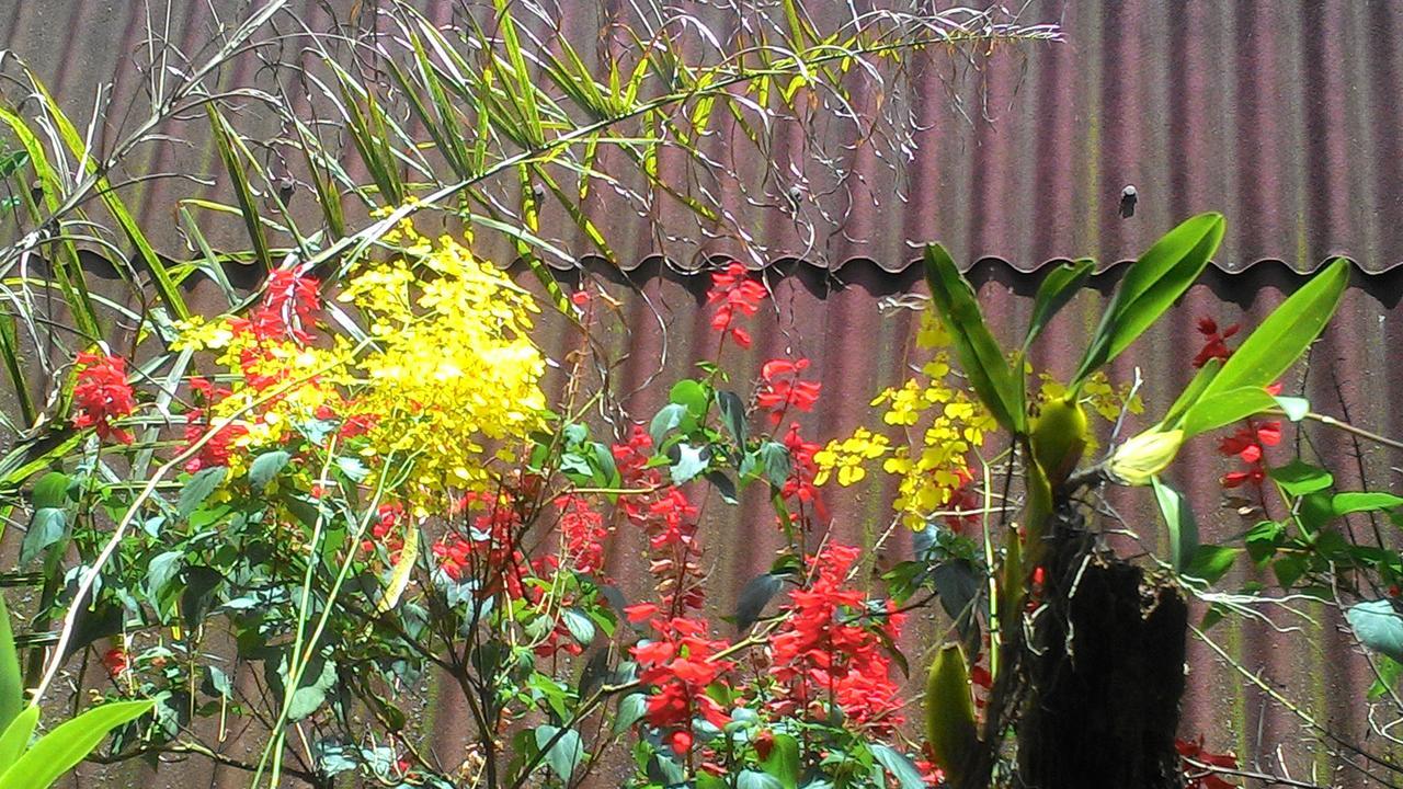 Chale Rancho Aratama Bed & Breakfast Jacarei Bagian luar foto