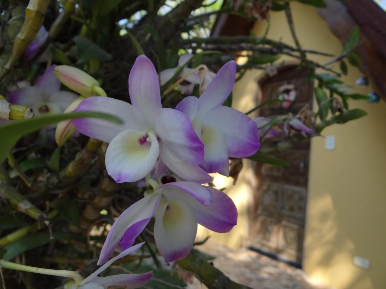 Chale Rancho Aratama Bed & Breakfast Jacarei Bagian luar foto